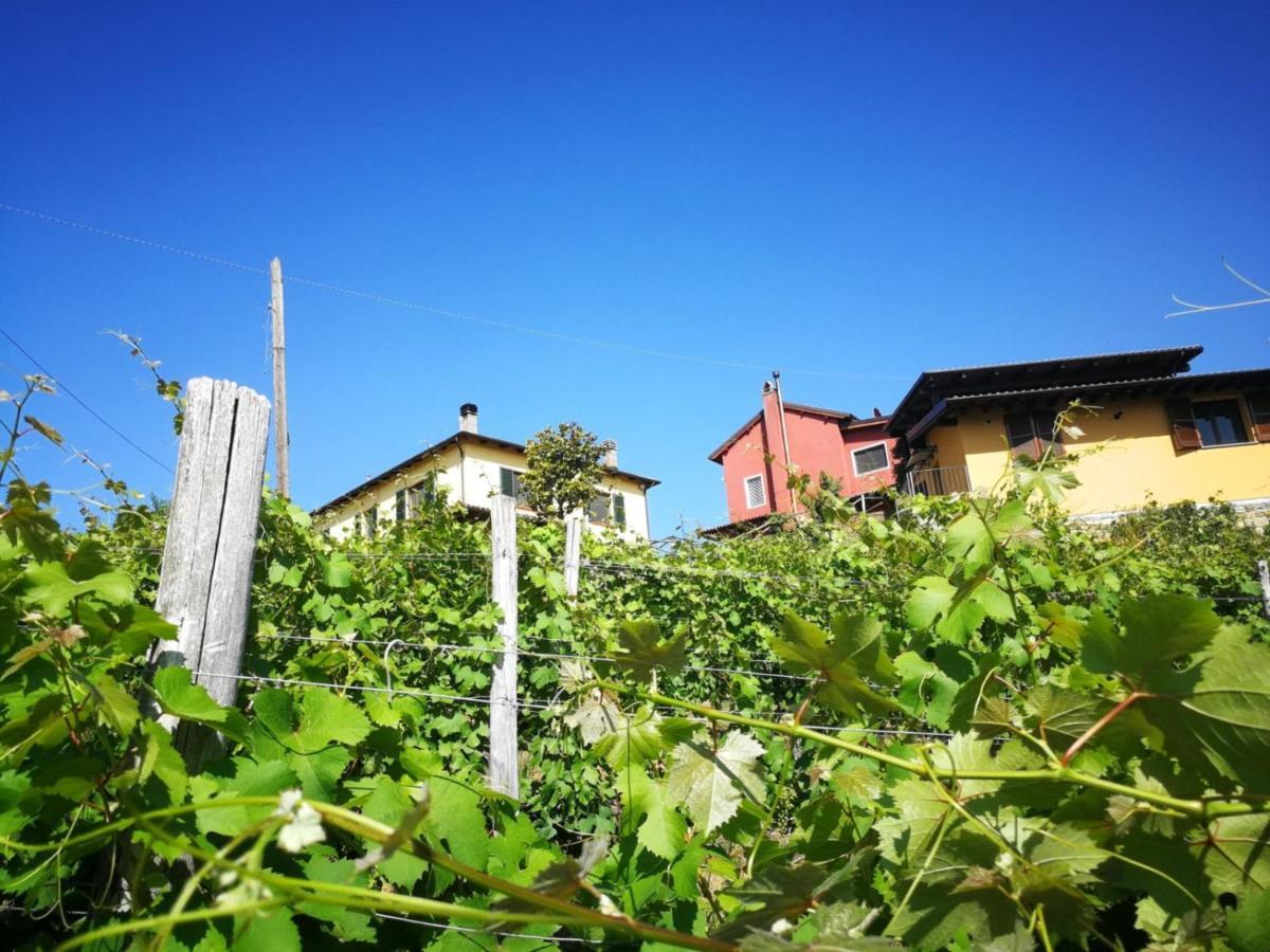 Tenuta Monteoliveto - Family Cottage - Agriturismo Nelle Langhe Vesime Exteriér fotografie